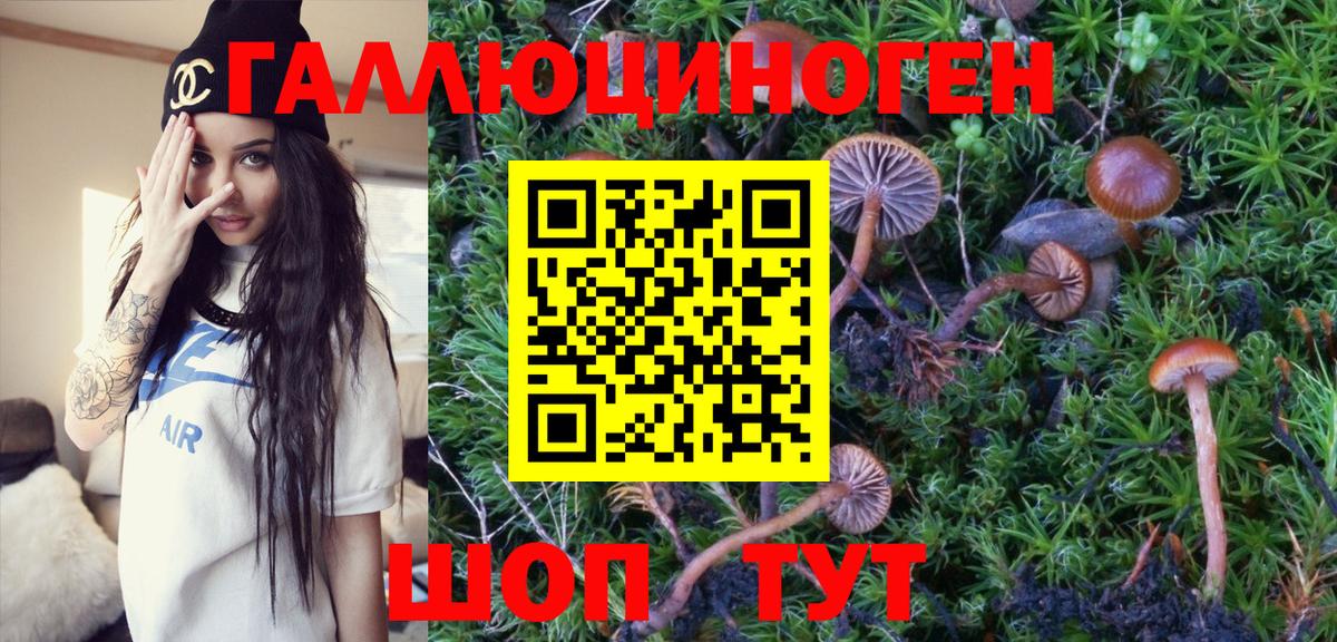 Галлюциногенные грибы Magic Shrooms  Вход с VPN  Галлюциногенные грибы MAGIC MUSHROOMS  закладки  Кудрово 
