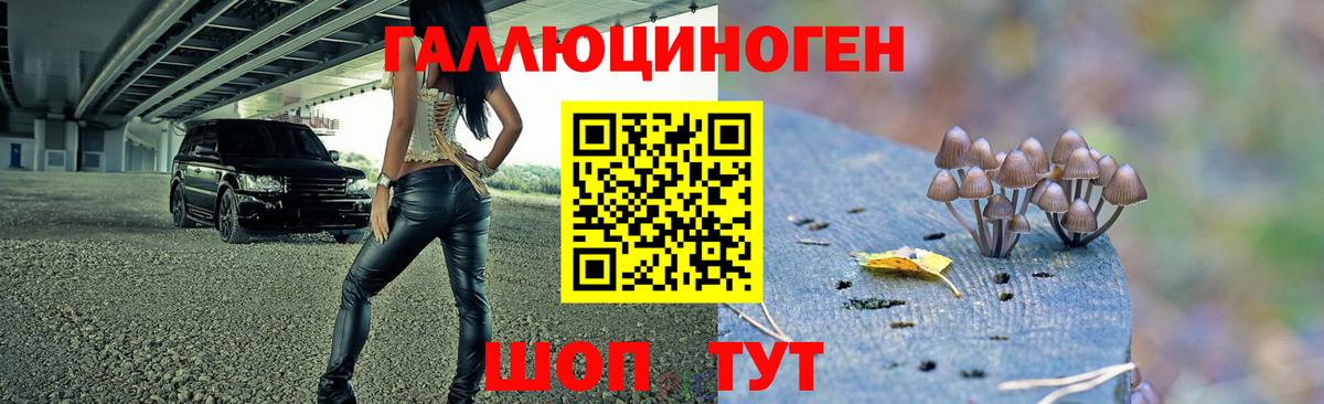 Галлюциногенные грибы прущие грибы Кудрово